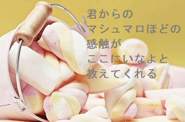 自作短歌 君からのマシュマロほどの感触がここにいなよと教えてくれる 朝倉冴希 歌人 朝倉冴希の風花diary 花と短歌のblog