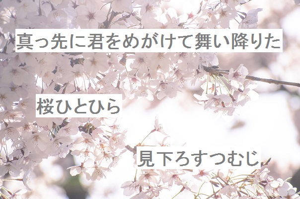 自作短歌 真っ先に君をめがけて舞い降りた桜ひとひら見下ろすつむじ 朝倉冴希 歌人 朝倉冴希の風花diary 花と短歌のblog