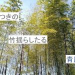 【俳句】皮つきの竹揺らしたる青嵐　すんすんと深くなりゆく柿若葉