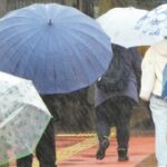 【今日の短歌】雨の降り始めた街にひらきだす傘の数だけあるスピンオフ　(近江瞬)