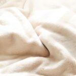 【今日の短歌】ライナスの毛布になって包む夜のしんしん積もる二月のひかり　(高田ほのか)